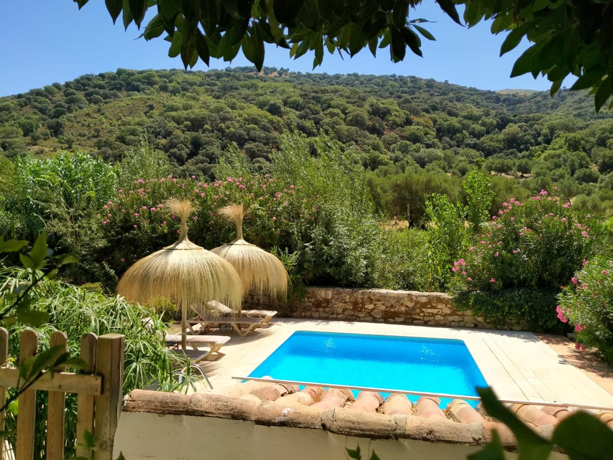 Molino Del Caracol Villa Benaojan Room photo